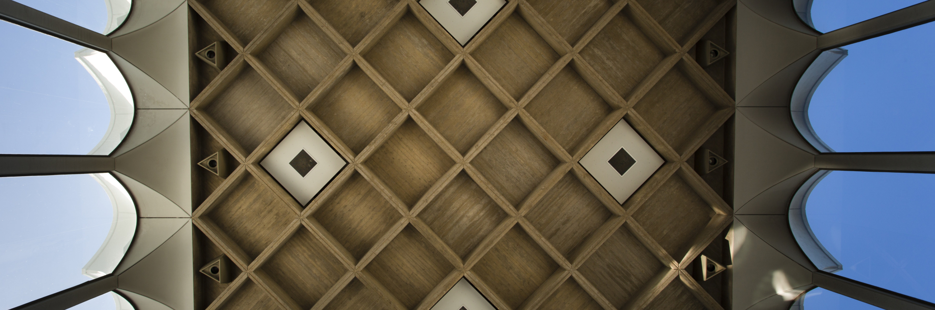 DH Ceiling 