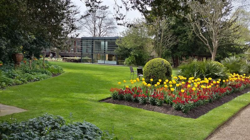 Fitzwilliam College garden
