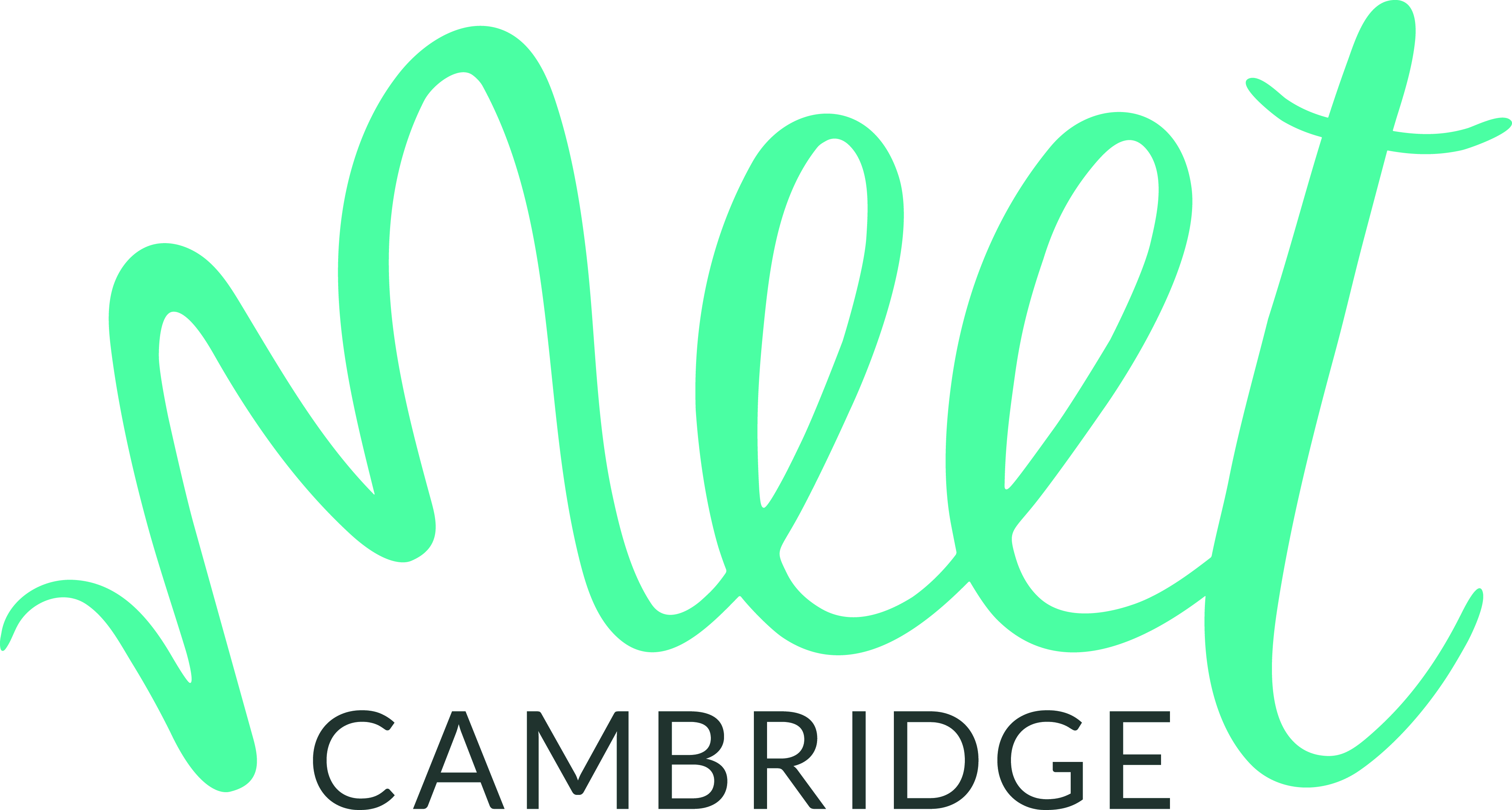 Meet Cambridge Logo